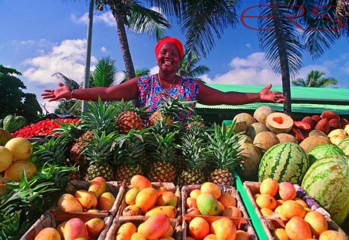 Prodej vily, Imbert, Dominikánská republika, 105 m2