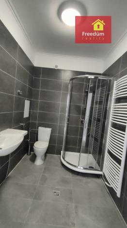 Prodej bytu 2+kk, Teplice, Vrchlického, 50 m2