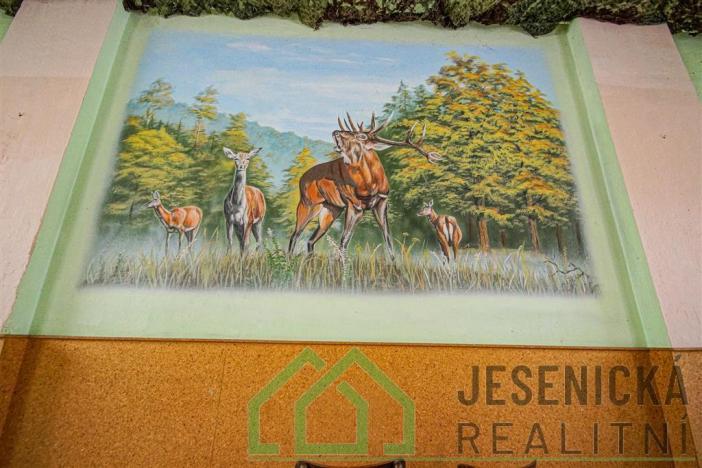 Prodej rodinného domu, Javorník - Bílý Potok, 281 m2