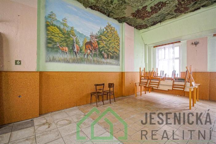 Prodej rodinného domu, Javorník - Bílý Potok, 281 m2