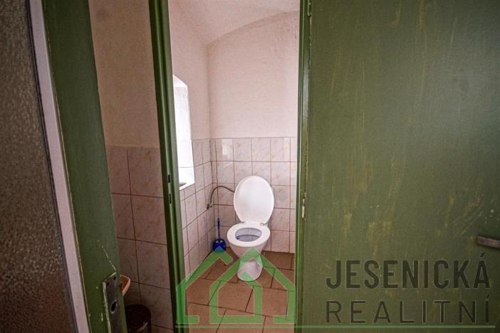 Prodej rodinného domu, Javorník - Bílý Potok, 281 m2