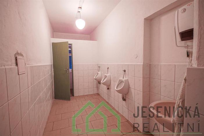 Prodej rodinného domu, Javorník - Bílý Potok, 281 m2