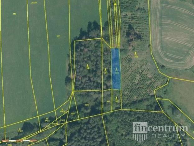 Prodej lesa, Radkov, 28936 m2