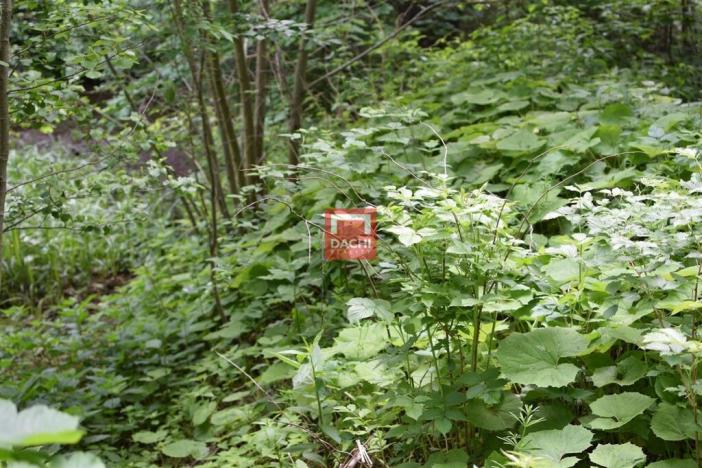 Prodej pozemku pro komerční výstavbu, Horní Heřmanice, 4584 m2