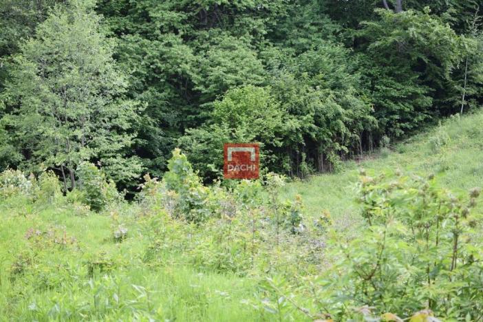 Prodej pozemku pro komerční výstavbu, Horní Heřmanice, 4584 m2