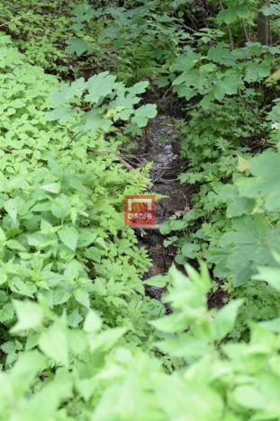 Prodej pozemku pro komerční výstavbu, Horní Heřmanice, 4584 m2