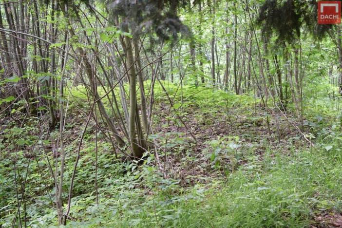 Prodej pozemku pro komerční výstavbu, Horní Heřmanice, 4584 m2