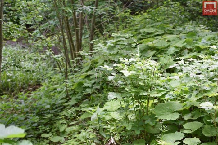 Prodej pozemku pro komerční výstavbu, Horní Heřmanice, 4584 m2