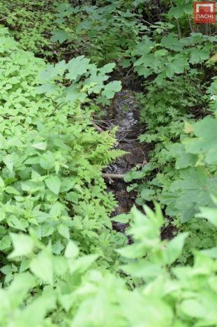 Prodej pozemku pro komerční výstavbu, Horní Heřmanice, 4584 m2