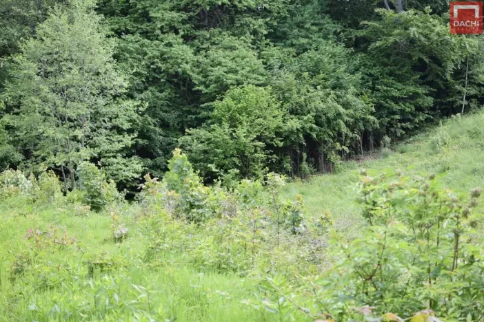 Prodej pozemku pro komerční výstavbu, Horní Heřmanice, 4584 m2
