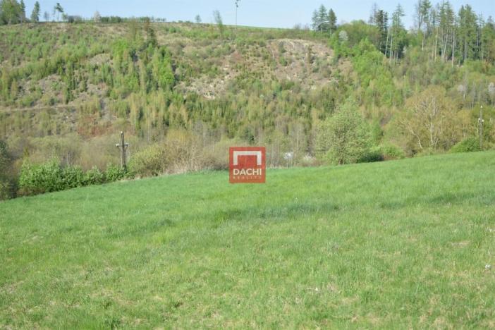 Prodej pozemku pro bydlení, Domašov nad Bystřicí, 11569 m2