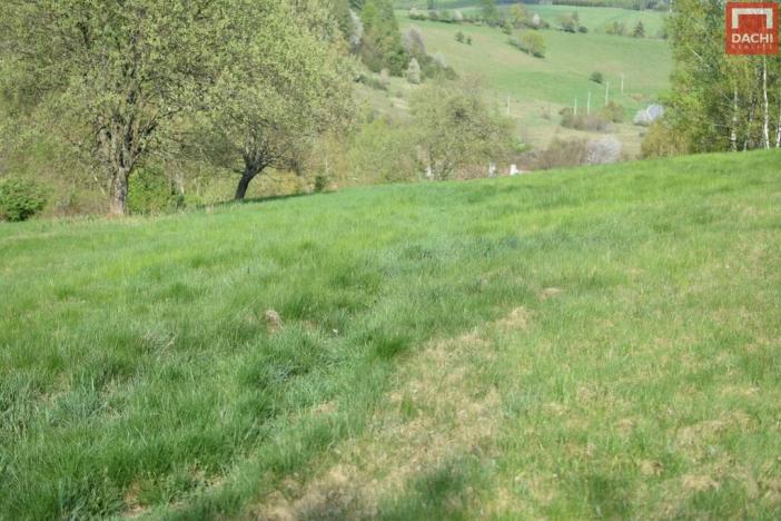 Prodej pozemku pro bydlení, Domašov nad Bystřicí, 11569 m2