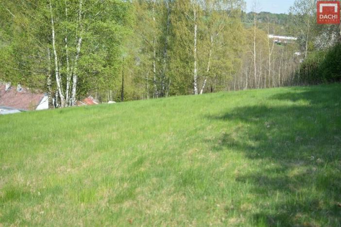 Prodej pozemku pro bydlení, Domašov nad Bystřicí, 11569 m2