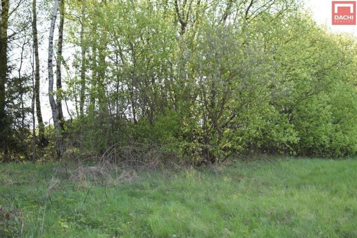 Prodej pozemku pro bydlení, Domašov nad Bystřicí, 11569 m2