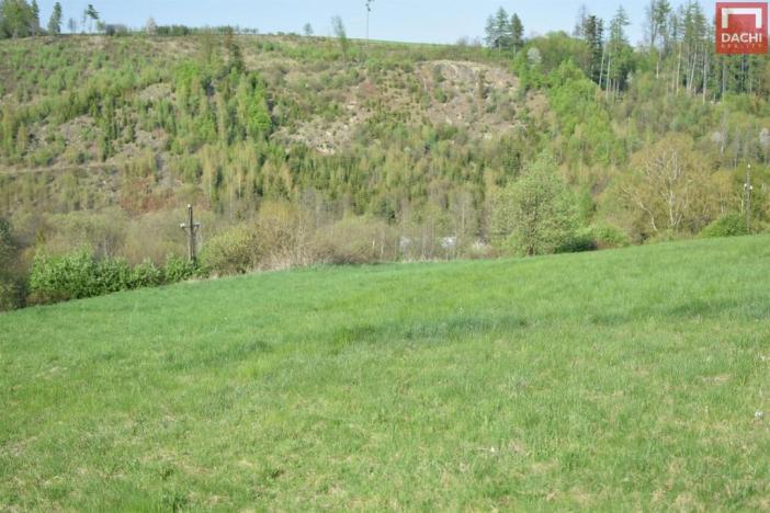 Prodej pozemku pro bydlení, Domašov nad Bystřicí, 11569 m2