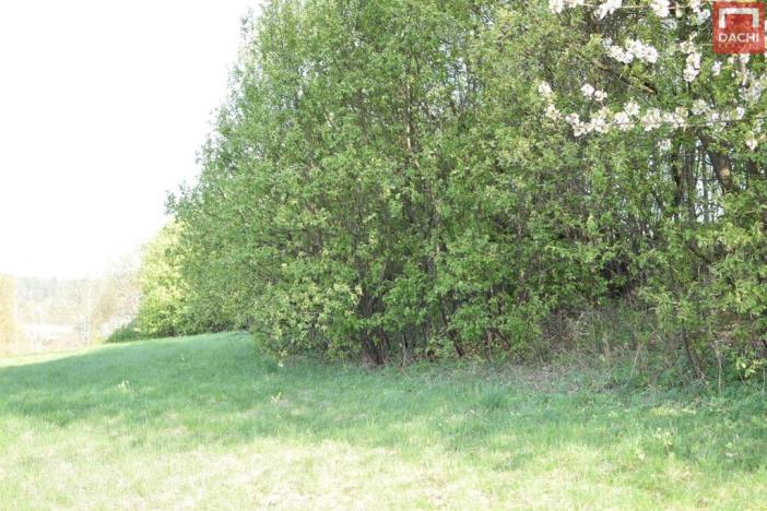 Prodej pozemku pro bydlení, Domašov nad Bystřicí, 11569 m2