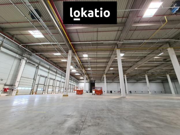 Pronájem skladu, Kadaň, 4650 m2