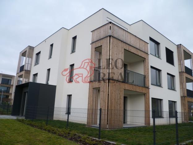 Pronájem bytu 1+kk, Olomouc - Nová Ulice, 57 m2