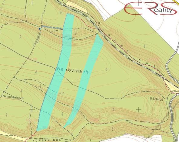 Prodej lesa, Plužná, 162122 m2