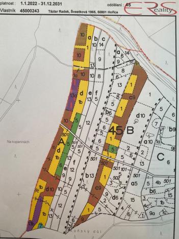 Prodej lesa, Plužná, 162122 m2