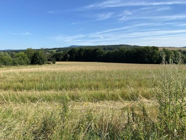 Prodej pozemku, Hrubá Skála - Borek, Hrubá Skála, 8207 m2