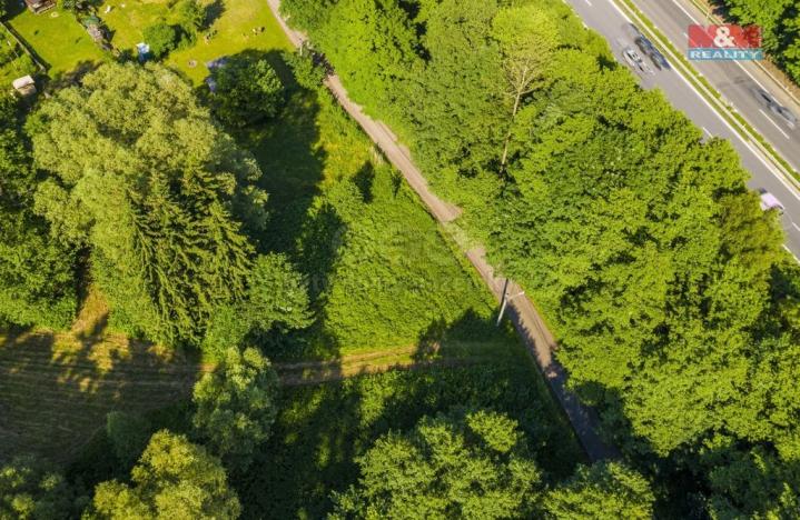 Prodej trvalého travního porostu, Hodkovice nad Mohelkou, 646 m2