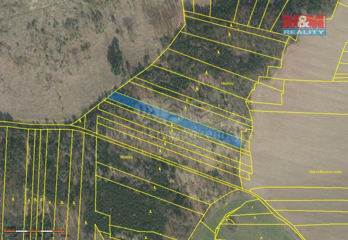 Prodej lesa, Stehlovice, 3290 m2