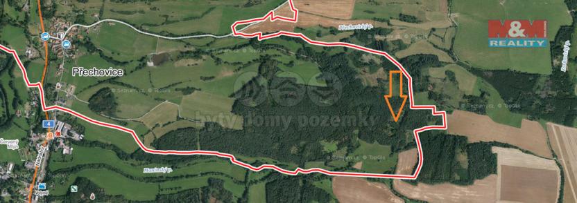 Prodej lesa, Přechovice, 24708 m2