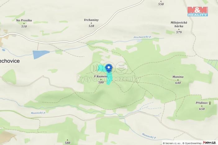 Prodej lesa, Přechovice, 24708 m2