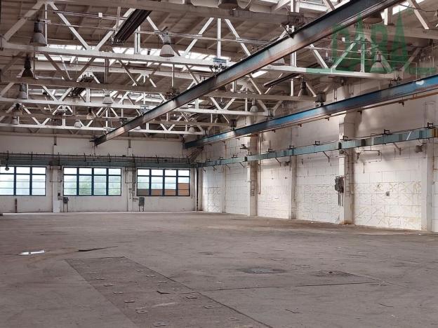 Pronájem výrobních prostor, Český Brod, 4600 m2