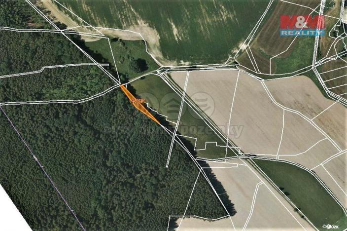 Prodej lesa, Všeruby, 892 m2