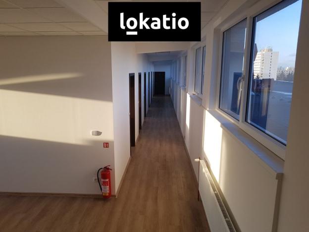 Pronájem skladu, Hradec Králové - Pražské Předměstí, 830 m2