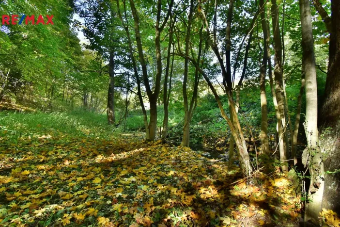 Prodej pozemku pro bydlení, Lampertice, 3749 m2