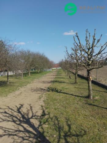 Prodej rodinného domu, Věžky, Věžky, 124 m2