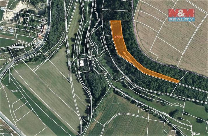 Prodej lesa, Skuteč, 8078 m2