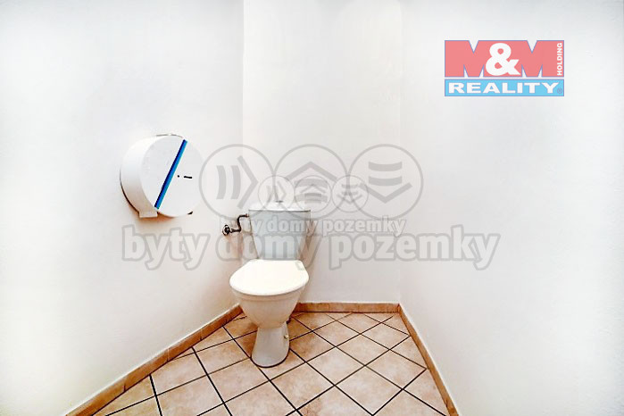 Pronájem obchodního prostoru, Plzeň - Východní Předměstí, Pražská, 150 m2