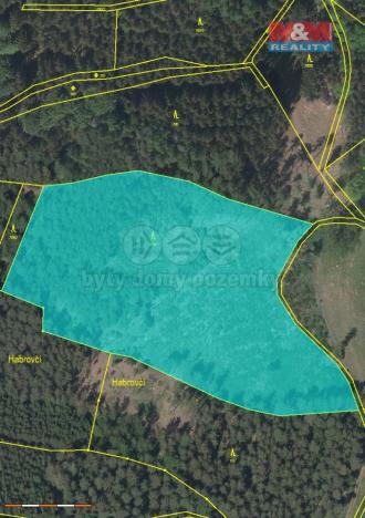 Prodej lesa, Pecka, 20194 m2