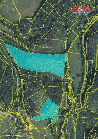 Prodej lesa, Bozkov, 70240 m2