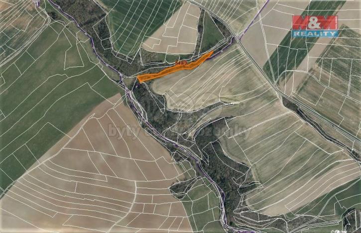 Prodej lesa, Dobříč, 4593 m2