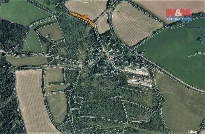 Prodej lesa, Mašťov, 1300 m2