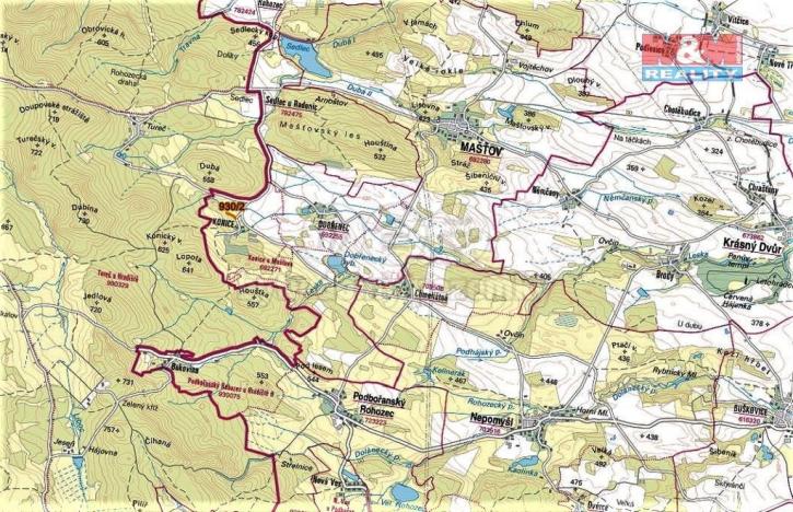 Prodej lesa, Mašťov, 1300 m2