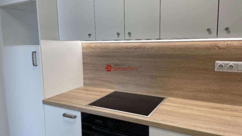 Pronájem bytu 2+1, Teplice - Trnovany, Antonína Sochora, 59 m2