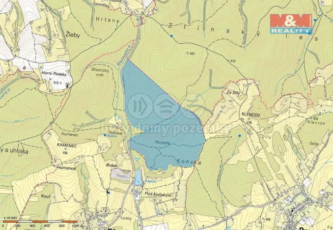 Prodej lesa, Březůvky, 1081 m2