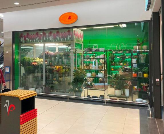 Pronájem obchodního prostoru, Teplice, náměstí Svobody, 39 m2