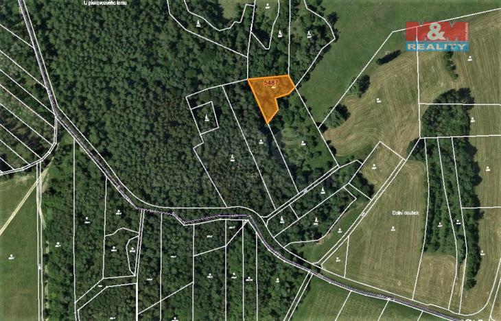 Prodej lesa, Borotín, 1374 m2