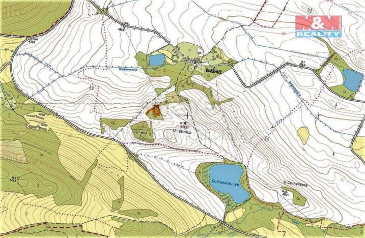 Prodej trvalého travního porostu, Mašťov - Dobřenec, 9839 m2