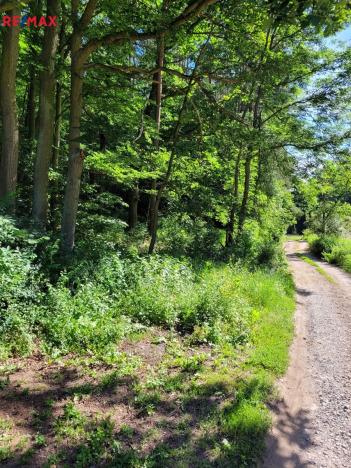 Prodej pozemku pro bydlení, Chyňava, 1246 m2