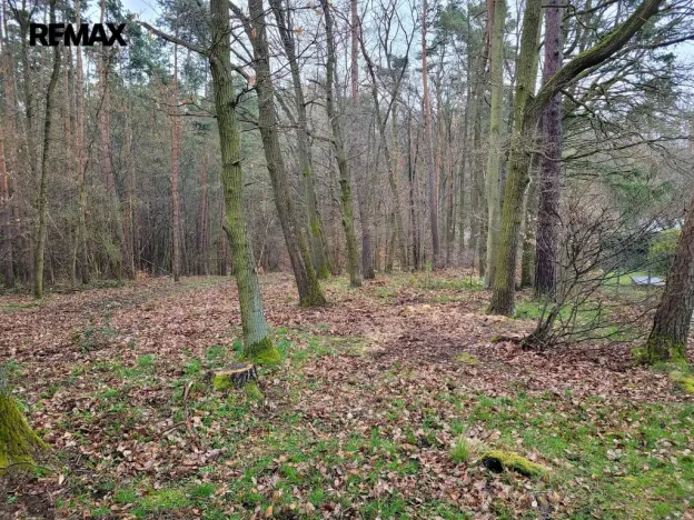 Prodej pozemku pro bydlení, Chyňava, 1246 m2