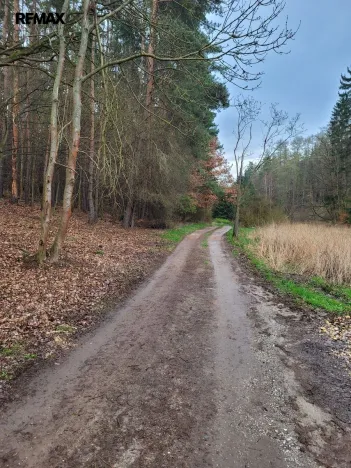 Prodej pozemku pro bydlení, Chyňava, 1246 m2