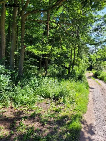 Prodej pozemku pro bydlení, Chyňava, 1246 m2